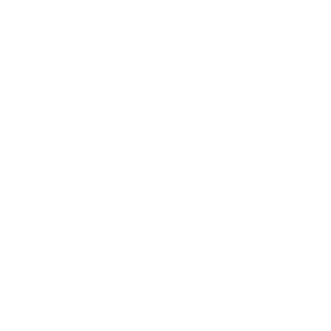 shopping-bag